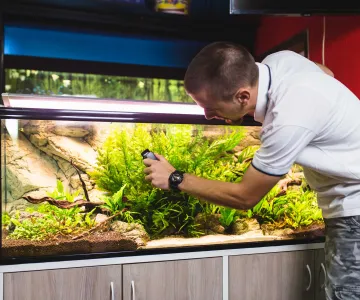 Оформление, обслуживание аквариумов
