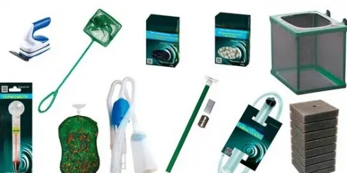 Сопутствующие товары