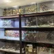 Аквариум Затопленный Лес купить в Минске